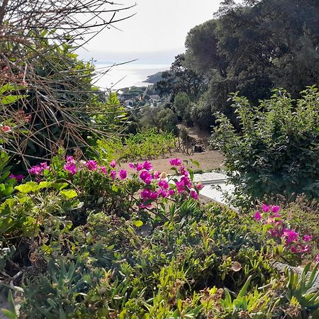 Villa Gualdo Piscina Vista Mare Capoliveri  Exteriör bild